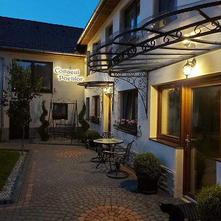 Hotel Conacul Poetilor Gura Rîului Exteriér fotografie
