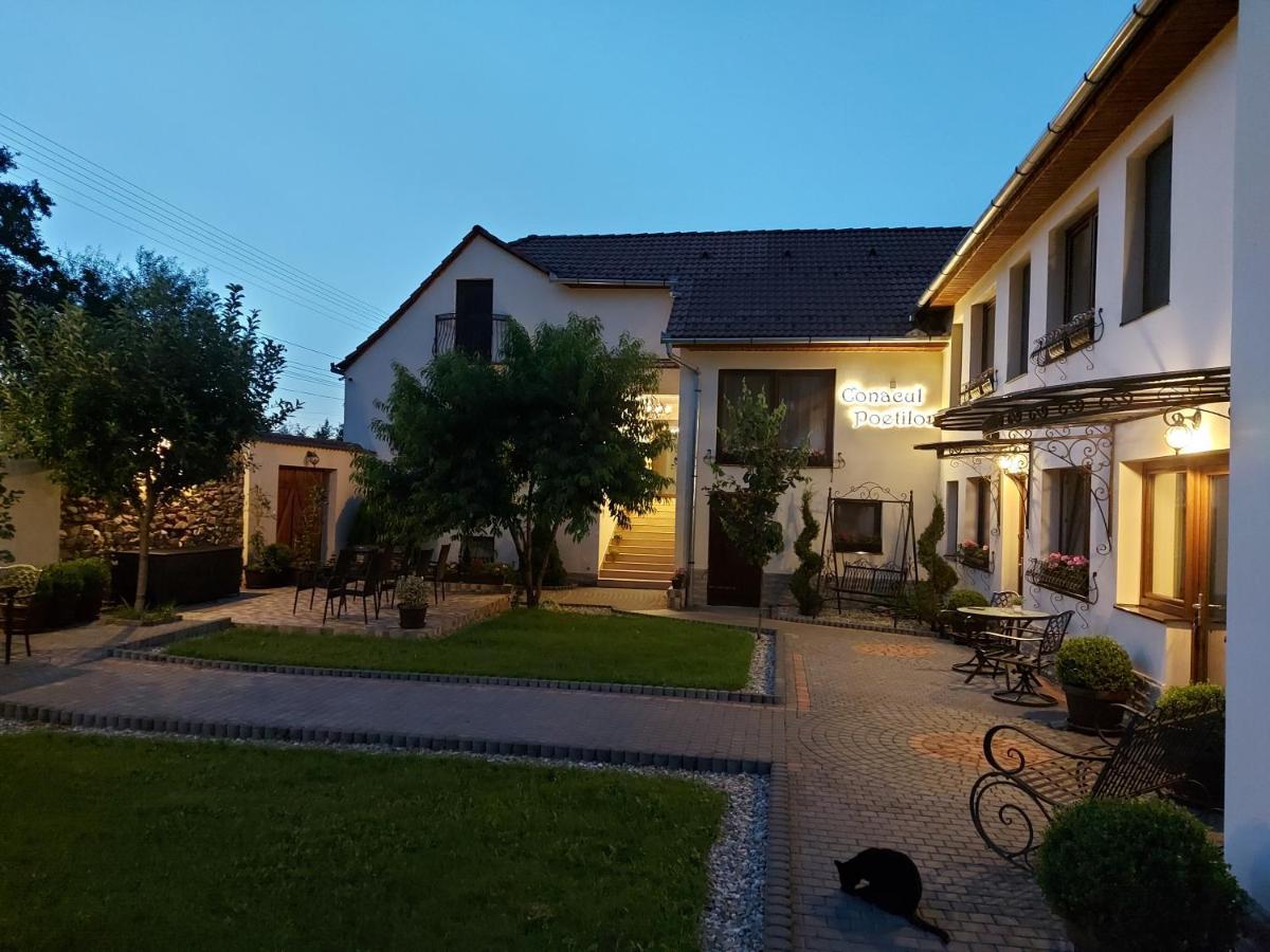 Hotel Conacul Poetilor Gura Rîului Exteriér fotografie