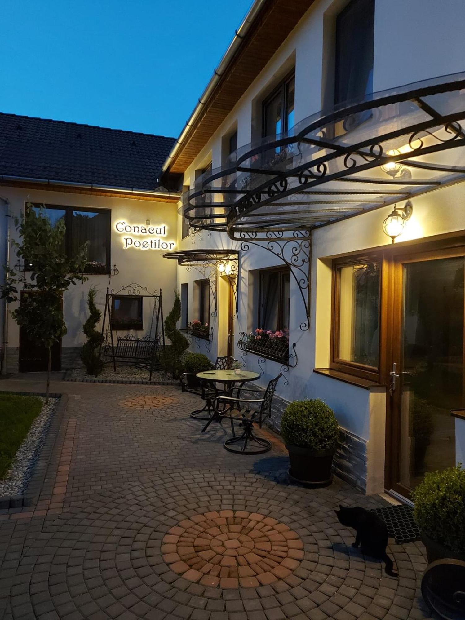 Hotel Conacul Poetilor Gura Rîului Exteriér fotografie